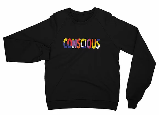 Conscious™ Color Spectrum California Fleece Raglan Sweatshirt - ThePlugg.co