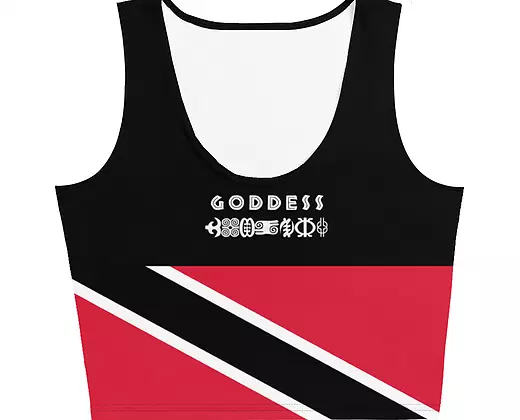 Goddess Crop Sew Top and Leggings Set - ThePlugg.co